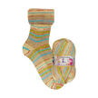 Sockenwolle Herbstmelodie 4-fach von Opal, 11125 Maronenduft