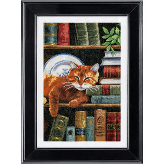 Kreuzstichbild - Katze im Bücherregal 