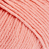 Sorbet