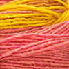 Pink/Senfgelb/Violett/Brombeer/Rot